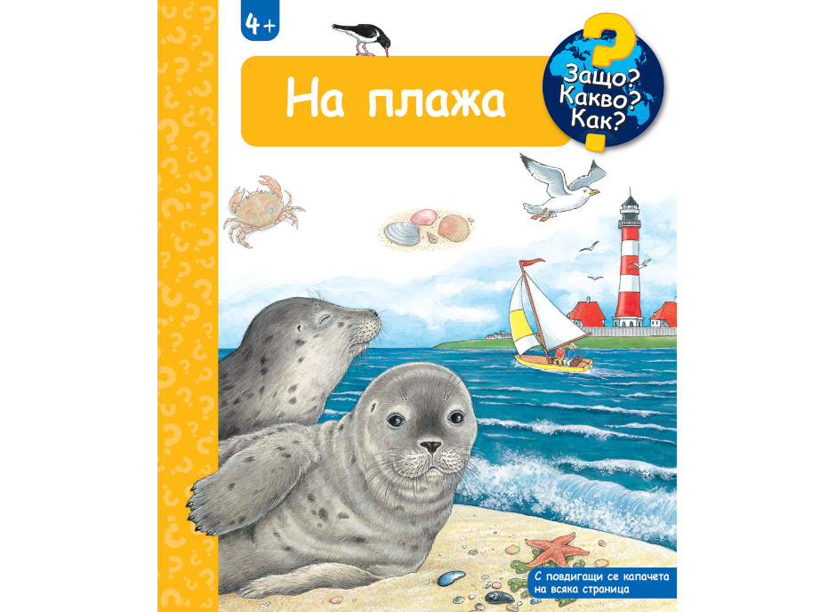 Защо?Какво?Как?-На плажа