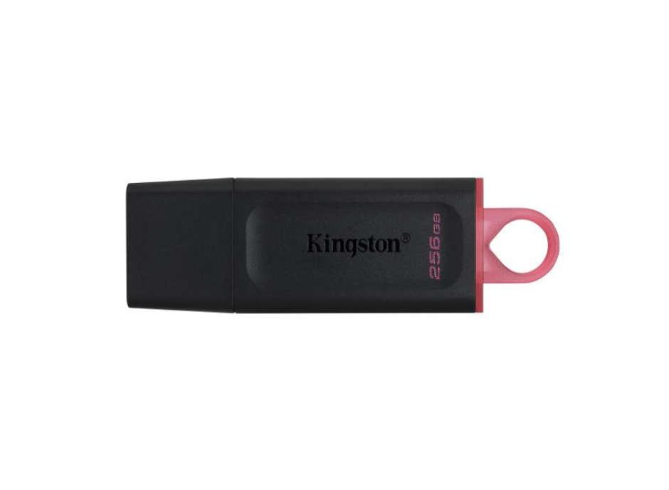 USB памет KINGSTON, 256GB, DataTraveler Exodia.
