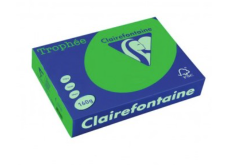 Цв. хартия Clairefontaine А4, 160гр, 1007 green