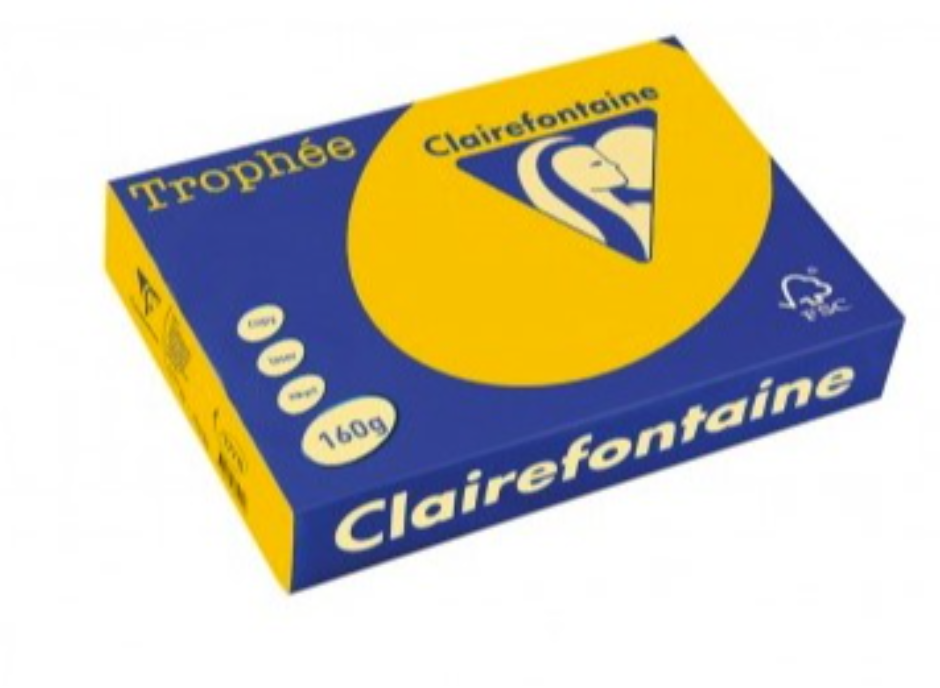 Цв. хартия Clairefontaine А4, 160гр, 1103 gold